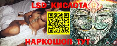 spice Кандалакша