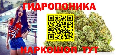 spice Кандалакша
