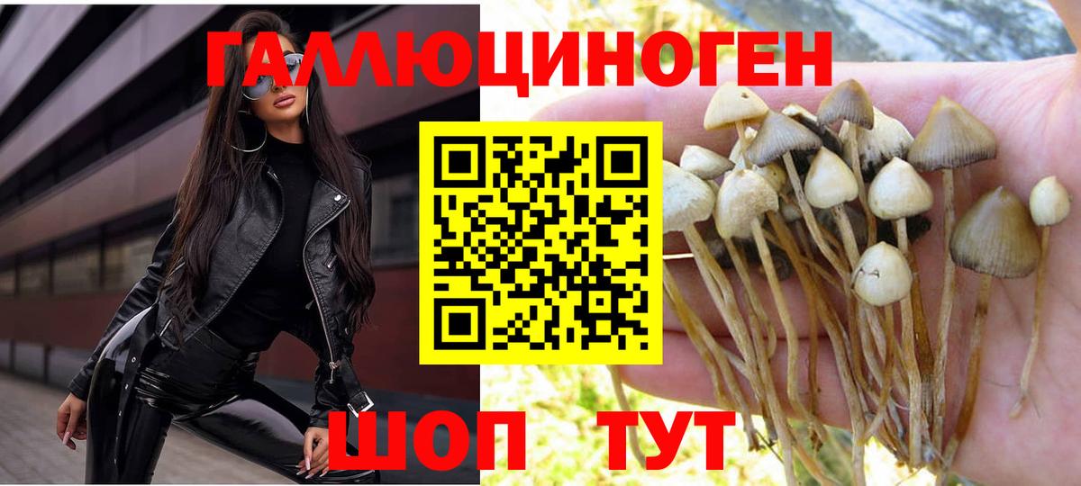 Галлюциногенные грибы ЛСД  Галлюциногенные грибы Psilocybe  Краснодар  Вход с VPN 